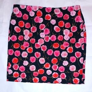 Talbots Floral Print Aline Skirt size 16p